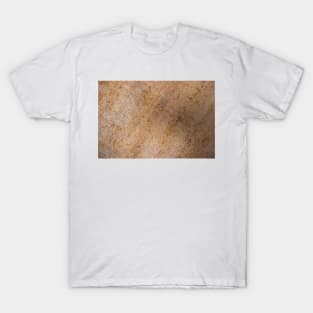 Grunge metal background or texture with scratches and cracks T-Shirt